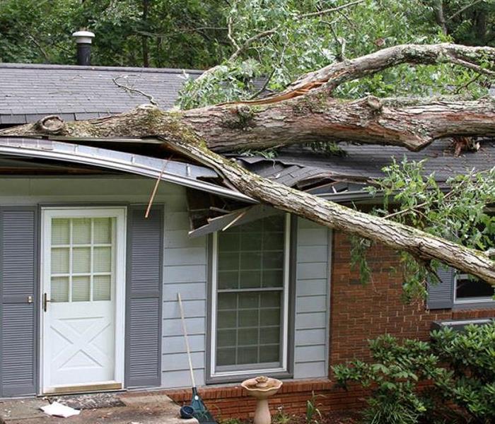 When Storms or Floods hit West Lucas County, SERVPRO is ready! - Image of tree fallen onto roof
