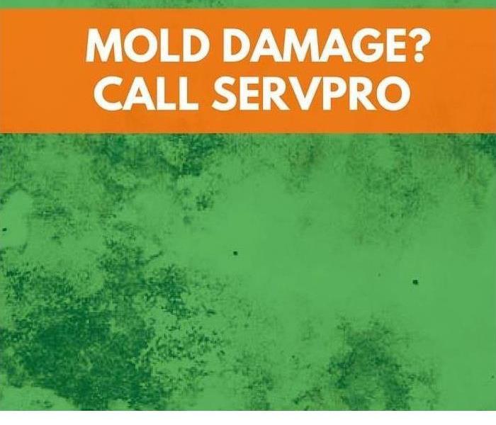 green back ground with orange strip and white letter "Mold Damage? Call SERVPRO "